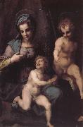 Andrea del Sarto Virgin Mary and Jeusu and John oil on canvas